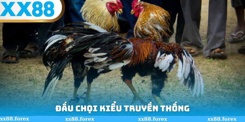Đấu chọi kiểu truyền thống